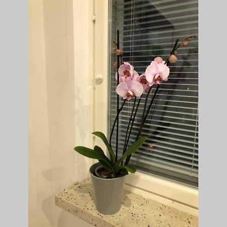 Studio Vescu Lahti Bagian luar foto