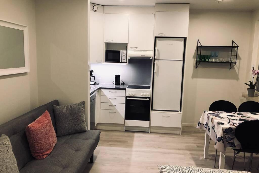 Studio Vescu Lahti Bagian luar foto